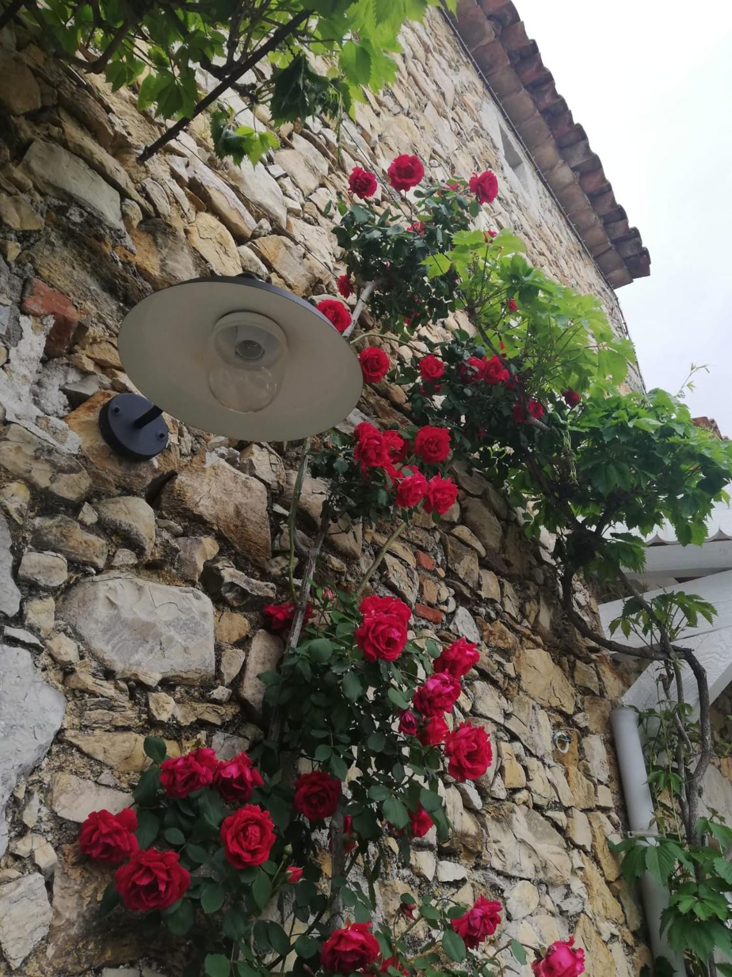 Magnanerie Le Mas D'Elise Boisset-et-Gaujac Extérieur photo
